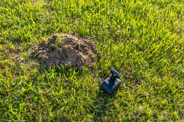 Mole trap set on the green lawn, close-up image