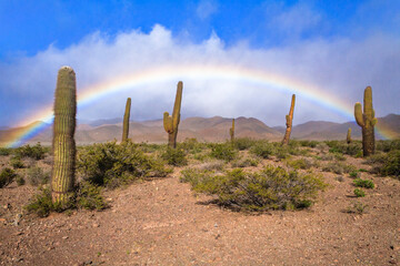 Regenbogen in der Wüste, Nationalpark Los Cardones, Argentinien, Südamerika