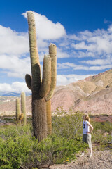 Frau neben Kandelaberkaktus, Nationalpark Los Cardones, Argentinien, Südamerika