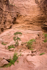 Garganta del Diabolo, Teufelsschlund,Quebrada de las Conchas, Region Salta, Argentinien, Südamerika