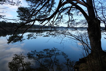 Naklejka premium Lake