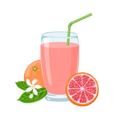 Grapefruit juice in glass isolated on white background. Fresh citrus fruit drink. Vector cartoon illustration.