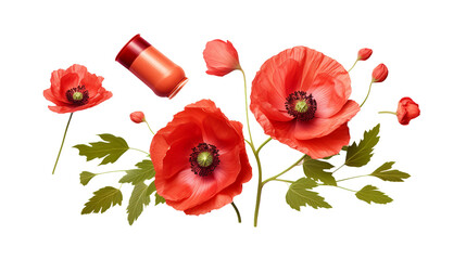 Poppy Collection: Vibrant Flowers, Essential Oil Design Elements, and Delicate Buds for Summer Garden Projects - Isolated on Transparent Background