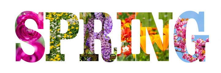 Word SPRING written with colorful nature and flowers images inside the letters, text isolated on transparent background, png file