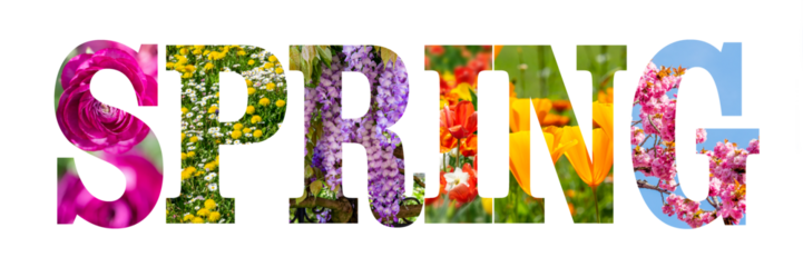 Word SPRING written with colorful nature and flowers images inside the letters, text isolated on transparent background, png file