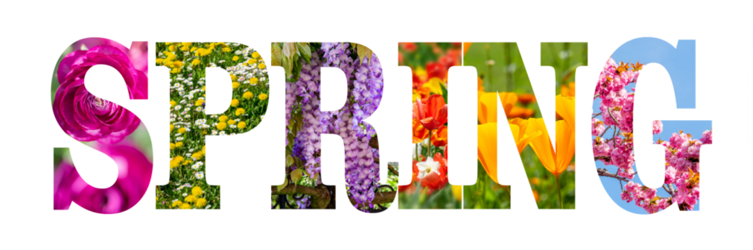 Word SPRING written with colorful nature and flowers images inside the letters, text isolated on transparent background, png file
