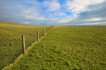 vineyard in region near cliffs of moher
