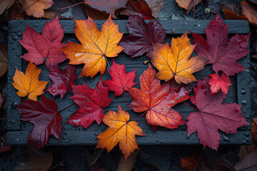Leaves in autumn
