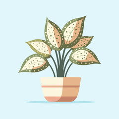 flat design of aglaonema leaf houseplant vector illustration