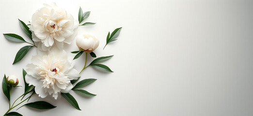 White peonies flowers floral pattern isolated on a white background, flat lay with copy space for a greeting card.