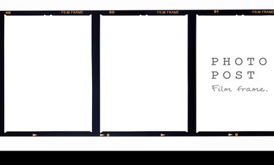 Medium format film frame.With white space. - obrazy, fototapety, plakaty