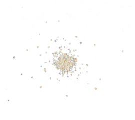 abstract grain sand particle isolated