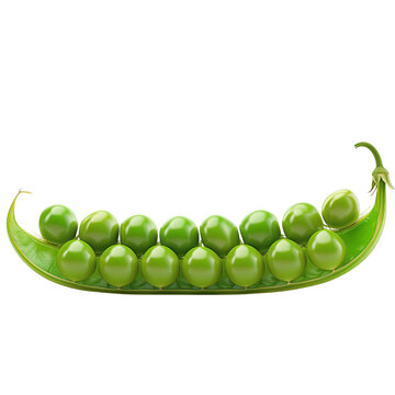 Stylized Vibrant Green Peapod with Perfectly Rounded Glossy Peas Isolated on a Transparent Background - A Conceptual Take on Fresh Vegetables