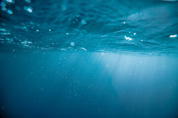 Underwater Life Blue