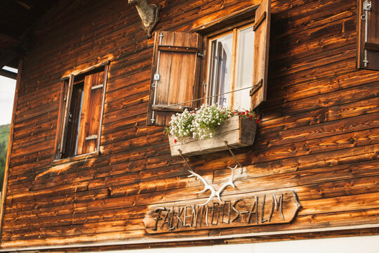 Fototapeta Close-up of flowers hanging under window sill of mountain cabin. 