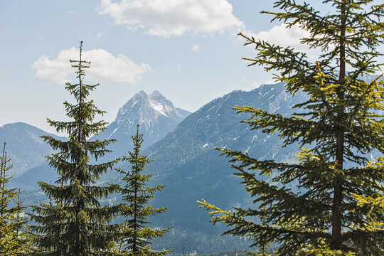 Mountain landscape of trees in foreground and large mountain peak in the background. Achenkirch, Austria