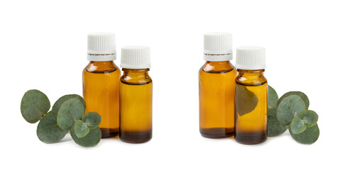 Eucalyptus essential oil in a glass bottle with green eucalyptus leaves isolated on white background. Aromatherapy. Spa. Concept of natural cosmetology and beauty industry.