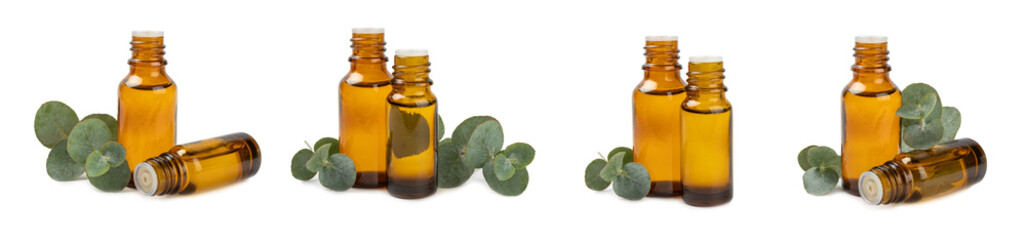Eucalyptus essential oil in a glass bottle with green eucalyptus leaves isolated on white background. Aromatherapy. Spa. Concept of natural cosmetology and beauty industry.