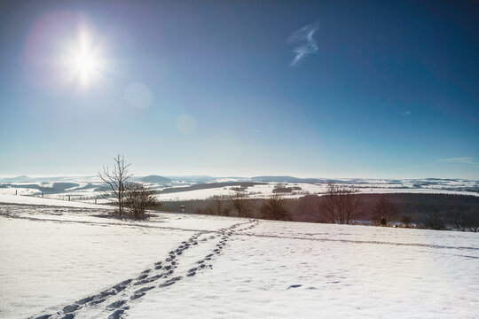 winter landscape with snow
