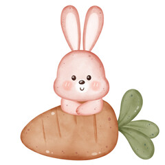 Adorable Rabbit in Playful Poses