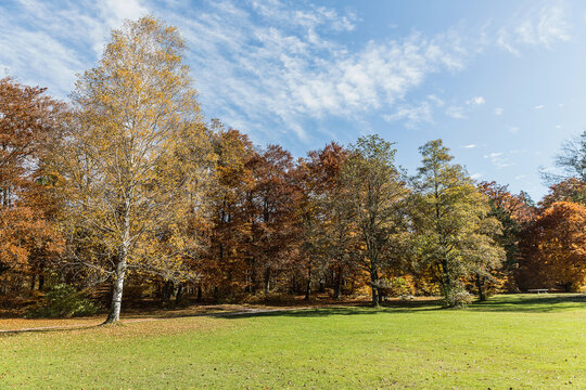 Fall landscape in a park. Starnberg, Germany