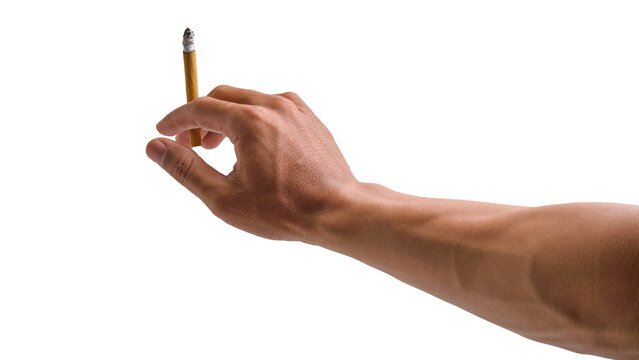 Hand holding a clove cigarette isolated on a transparent background