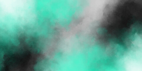 Mint Black White dreamy atmosphere clouds or smoke burnt rough.abstract watercolor.ice smoke.spectacular abstract empty space powder and smoke vintage grunge.dreaming portrait vector desing.
