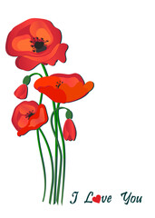 Postcard - poppy flowers with place for text. Vector icon