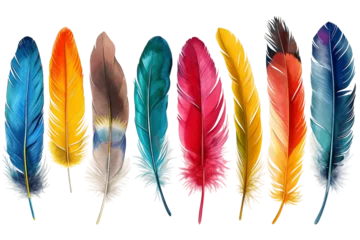 Fototapete Boho-Stil Colorful Feathers Isolated on Transparent Background