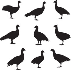 Obraz premium Grouse Bird Black Silhouette
