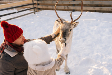 High-angle view happy family of father and little child daughter outdoors feeding cute young reindeer on snowy farm on sunny winter day. Concept of ecotourism at wintertime. © dikushin