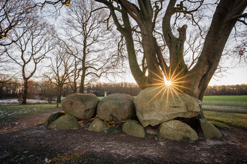 Dutch landscape in wintertime with dolmen D21 under a beech tree in the rural province of Drenthe,...