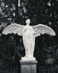 Statue of Angel - Grave -  Graveyard - Scary - Cemetery - Halloween - Mysterious  - Tombstones -...