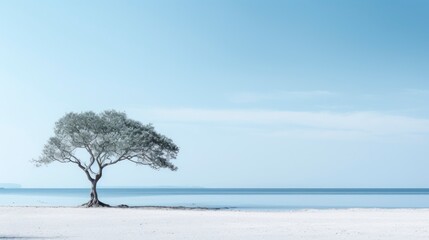 Fototapeta na wymiar Lonely tree on the beach, minimal style