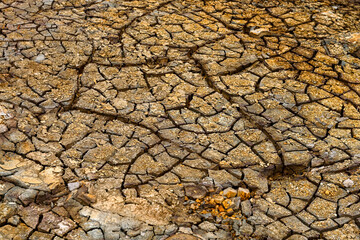 Cracked Earth and Mineral Deposits in Rio Tinto