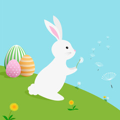 Happy Easter celebration vector illustration, cute white bunny rabbit  blowing dandelion  flower in green grass field spring flower meadow garden on blue sky background with giant colorful egg painted