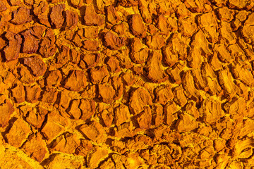 Sunlit Cracked Clay Soil in Rio Tinto