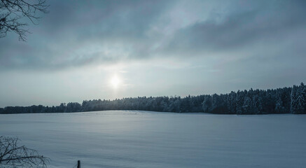 Winter snow landscape with cloudy skies and snowy grounds and trees