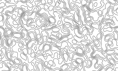 Topographic background and texture, monochrome image. 3D waves. Cartography Background. Abstract wave paper curved lines abstract background.
