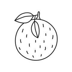 Doodle outline orange fruit.