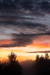 Fototapeta na wymiar Sunrise over silhouettes of trees, in Eugene, Oregon.
