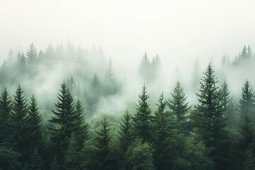 Misty landscape capturing the ethereal essence of a vintage-style fir forest Offering a nostalgic and atmospheric scene.