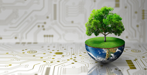 Tree growing on half of earth with green grass and butterfly. Digital and Technology Convergence....