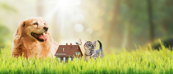 Model house and pets on the grass