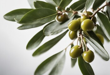 Delicious olives with leaves isolated on white background