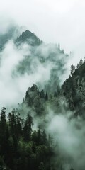 Scenic foggy mountain landscape featuring a picturesque fir forest shrouded in mist