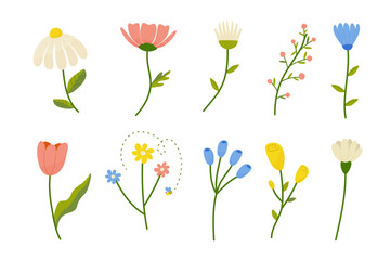 A set of flowers, spring, hand painting. For decorating your postcards, wedding invitation design