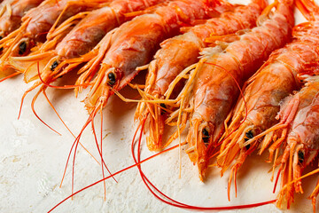 Langoustines, Australian, freshly frozen langoustines, on a light background, top view,