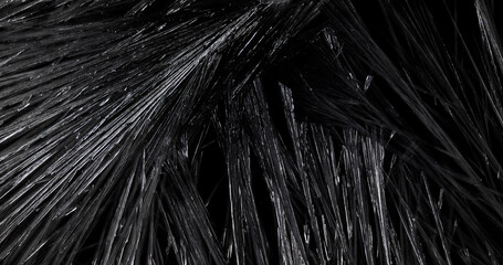 Freezing Of Ice Crystals On A Black Background