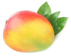 Mango fruit isolated on the white background